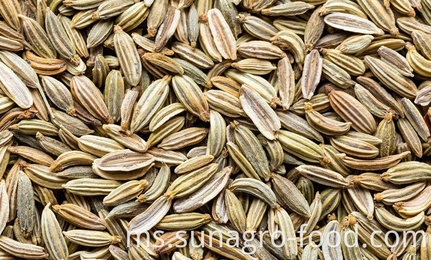 Best Quality Fennel Powder